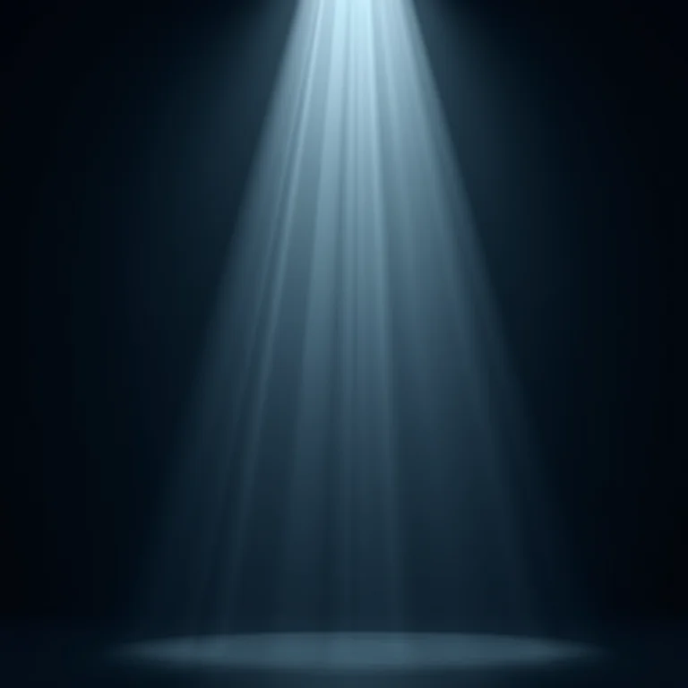 Mitos e verdades sobre películas de privacidade